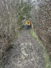 Spot of mud!